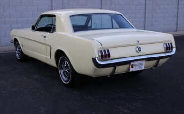 Unknown-Mustang-1965-Yellow-Black-29