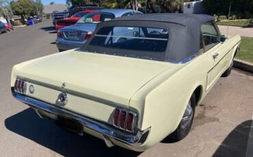 Unknown-Mustang-1965-Yellow-Black-3