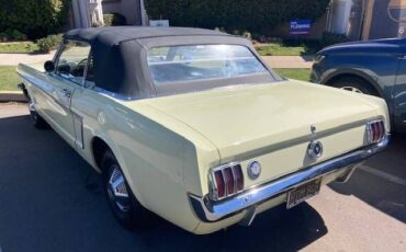 Unknown-Mustang-1965-Yellow-Black-4