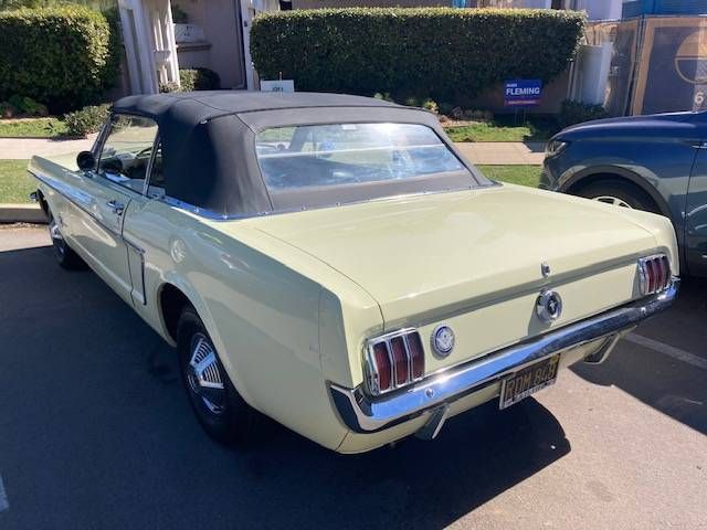 Unknown-Mustang-1965-Yellow-Black-4