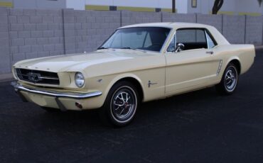 Unknown-Mustang-1965-Yellow-Black-4