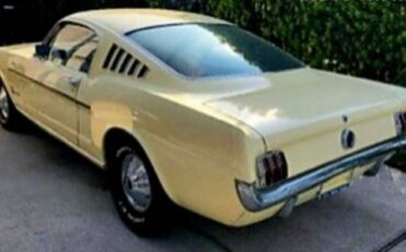 Unknown-Mustang-1965-Yellow-Black-4