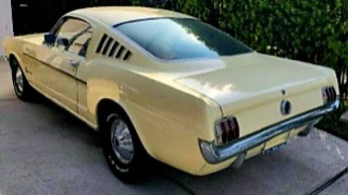 Unknown-Mustang-1965-Yellow-Black-4