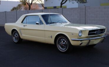 Unknown-Mustang-1965-Yellow-Black-45