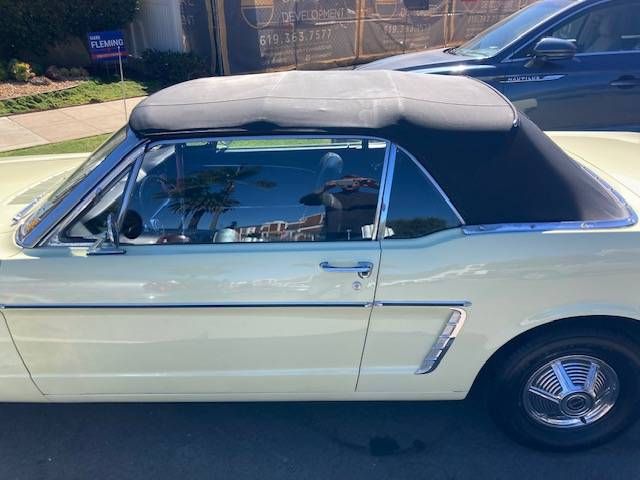 Unknown-Mustang-1965-Yellow-Black-5