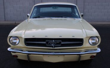 Unknown-Mustang-1965-Yellow-Black-5