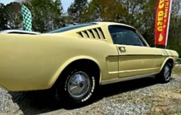 Unknown-Mustang-1965-Yellow-Black-5