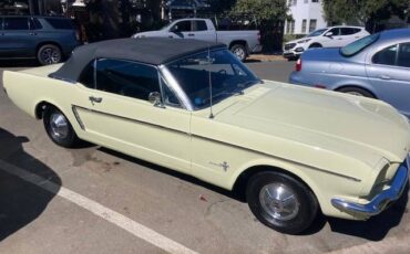 Unknown-Mustang-1965-Yellow-Black-6