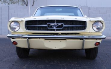 Unknown-Mustang-1965-Yellow-Black-6