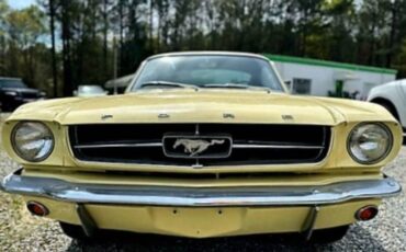 Unknown-Mustang-1965-Yellow-Black-6
