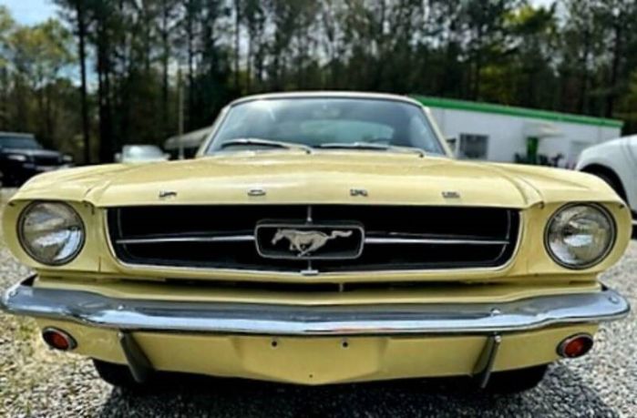 Unknown-Mustang-1965-Yellow-Black-6