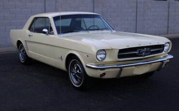 Unknown-Mustang-1965-Yellow-Black-7