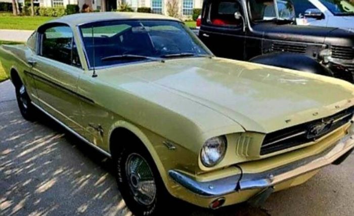 Unknown-Mustang-1965-Yellow-Black-7