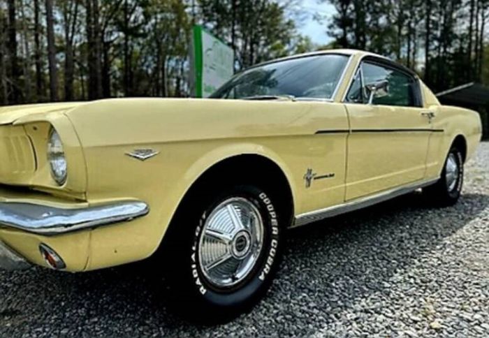 Unknown-Mustang-1965-Yellow-Black-8