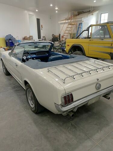 Unknown-Mustang-1966-10