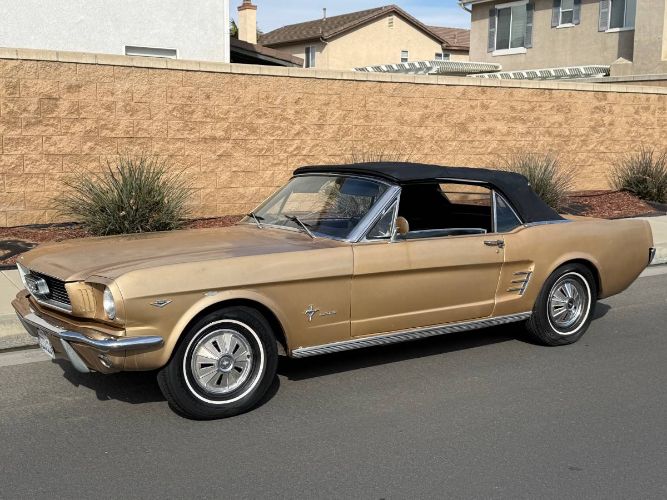 Unknown-Mustang-1966-10