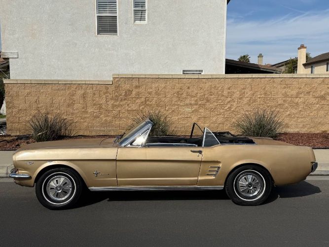 Unknown-Mustang-1966-11