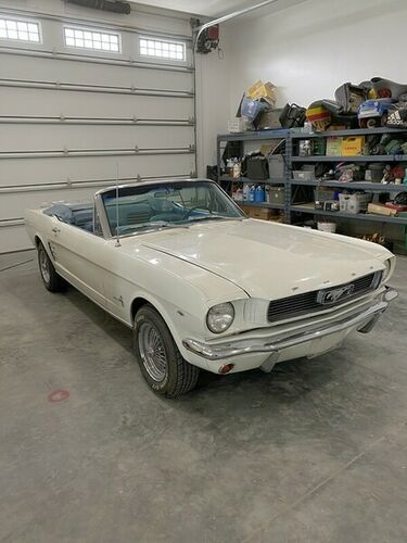Unknown-Mustang-1966-12