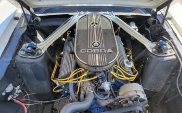 Unknown-Mustang-1966-18