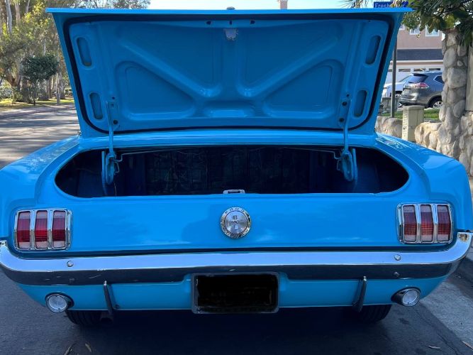 Unknown-Mustang-1966-2