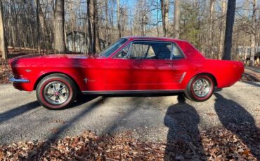 Unknown-Mustang-1966-2