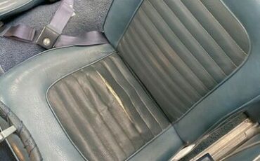 Unknown-Mustang-1966-2
