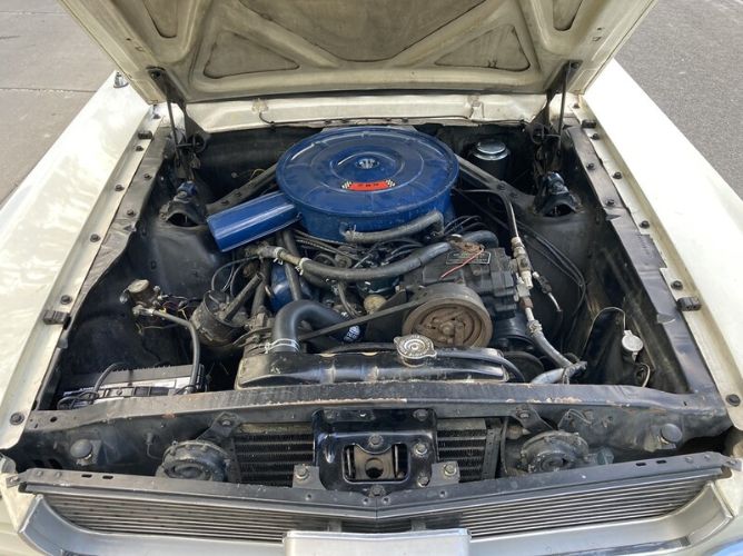 Unknown-Mustang-1966-20