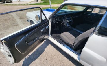 Unknown-Mustang-1966-21