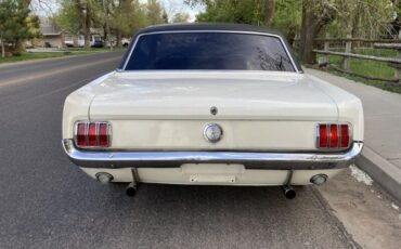 Unknown-Mustang-1966-23