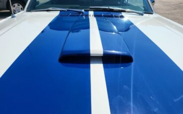 Unknown-Mustang-1966-24