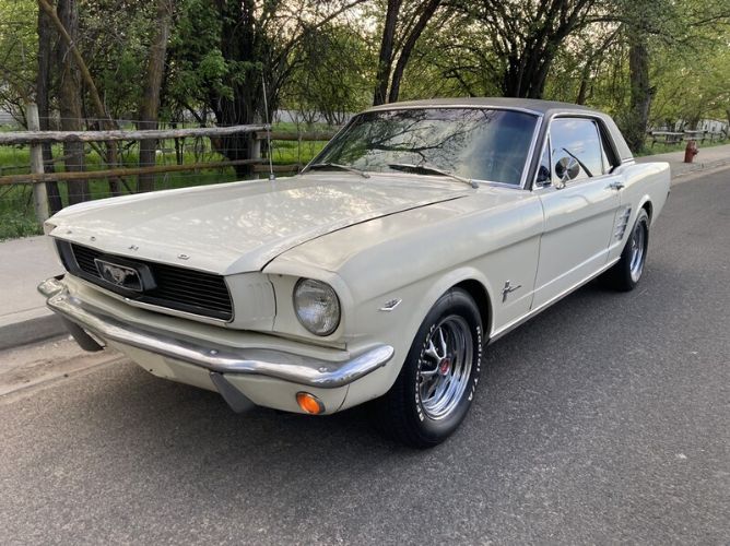 Unknown-Mustang-1966-24
