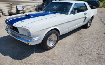 Unknown-Mustang-1966