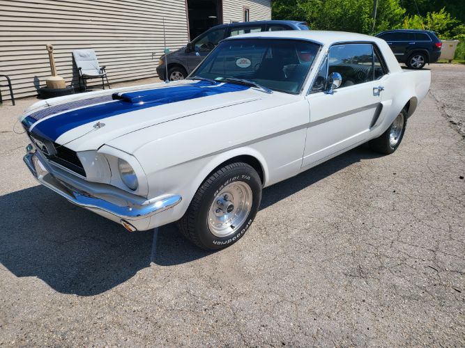 Unknown-Mustang-1966
