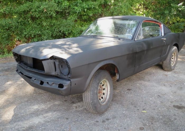 Unknown-Mustang-1966-28