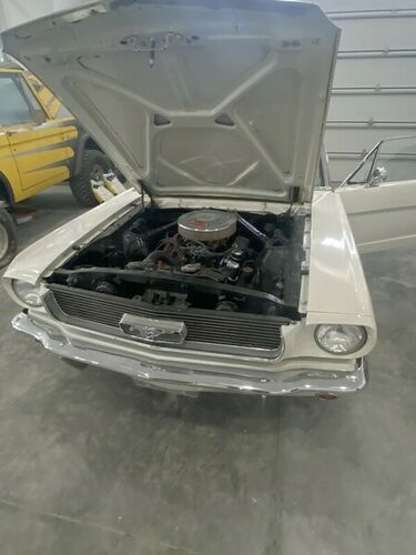 Unknown-Mustang-1966-3