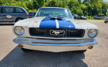 Unknown-Mustang-1966-30