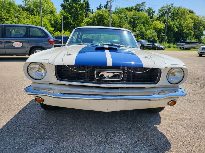 Unknown-Mustang-1966-30