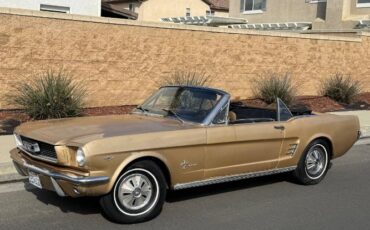 Unknown-Mustang-1966