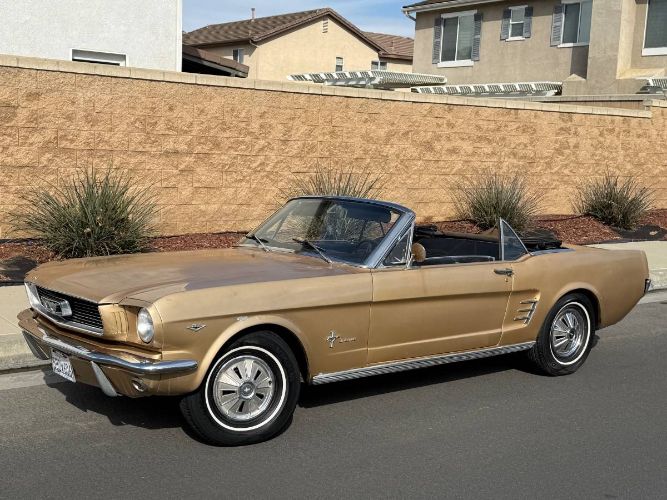 Unknown-Mustang-1966