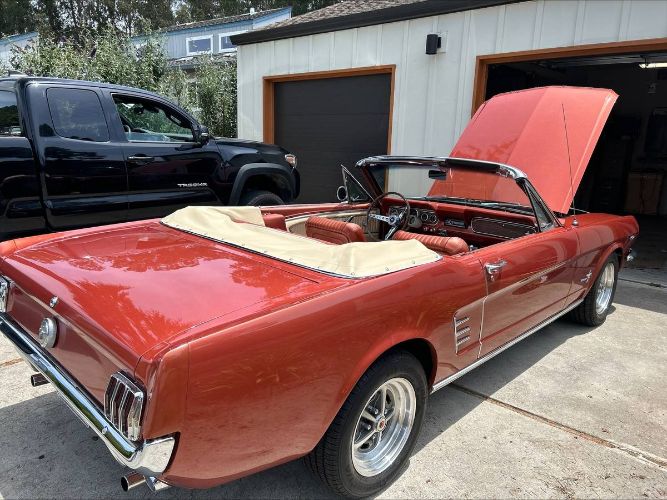 Unknown-Mustang-1966