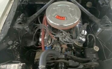 Unknown-Mustang-1966-4