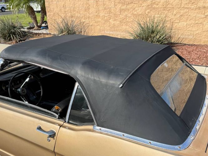 Unknown-Mustang-1966-4