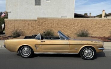 Unknown-Mustang-1966-6