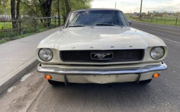 Unknown-Mustang-1966-6