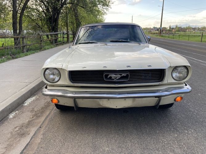 Unknown-Mustang-1966-6