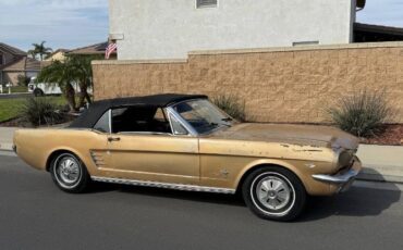 Unknown-Mustang-1966-7