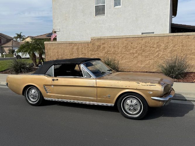 Unknown-Mustang-1966-7