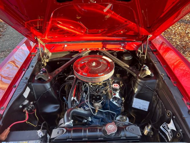 Unknown-Mustang-1966-7