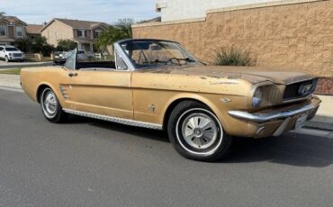 Unknown-Mustang-1966-8
