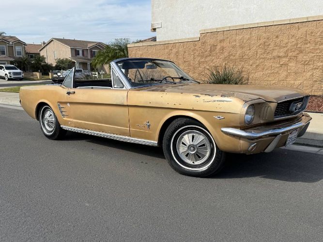 Unknown-Mustang-1966-8